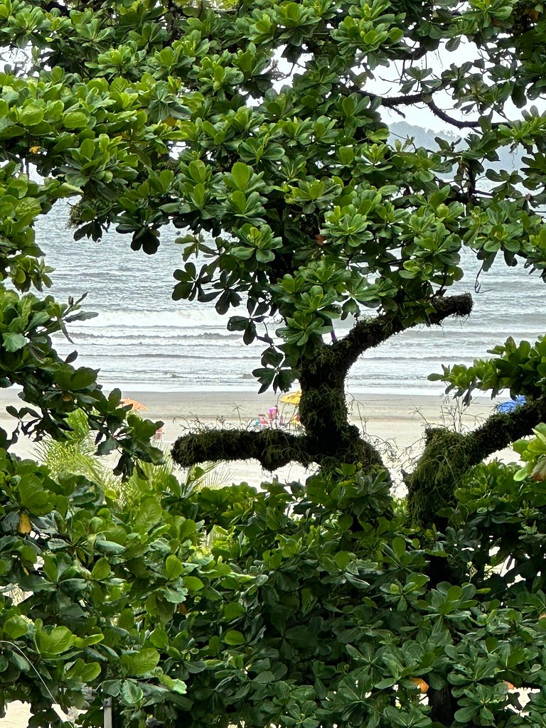 Ap Pé na Areia Vista Parcial Mar